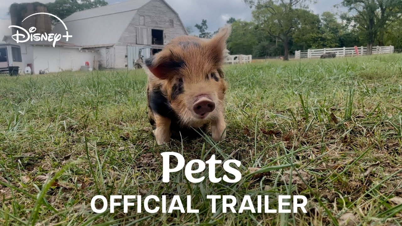 Pets Trailer